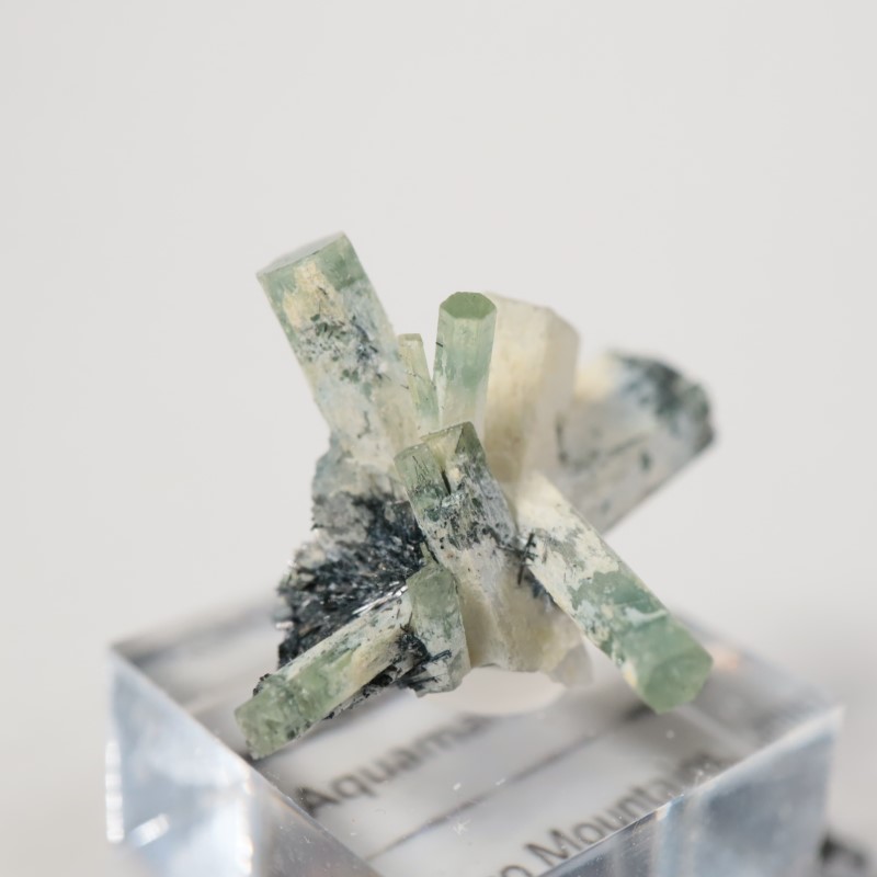 �����󥴹ۻ����٥��