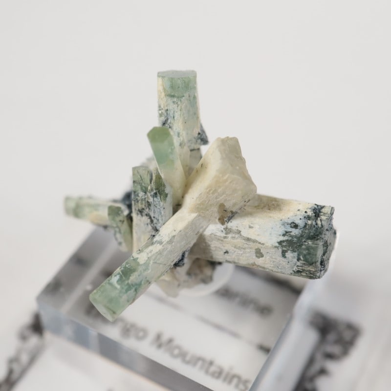 �����󥴹ۻ����٥��