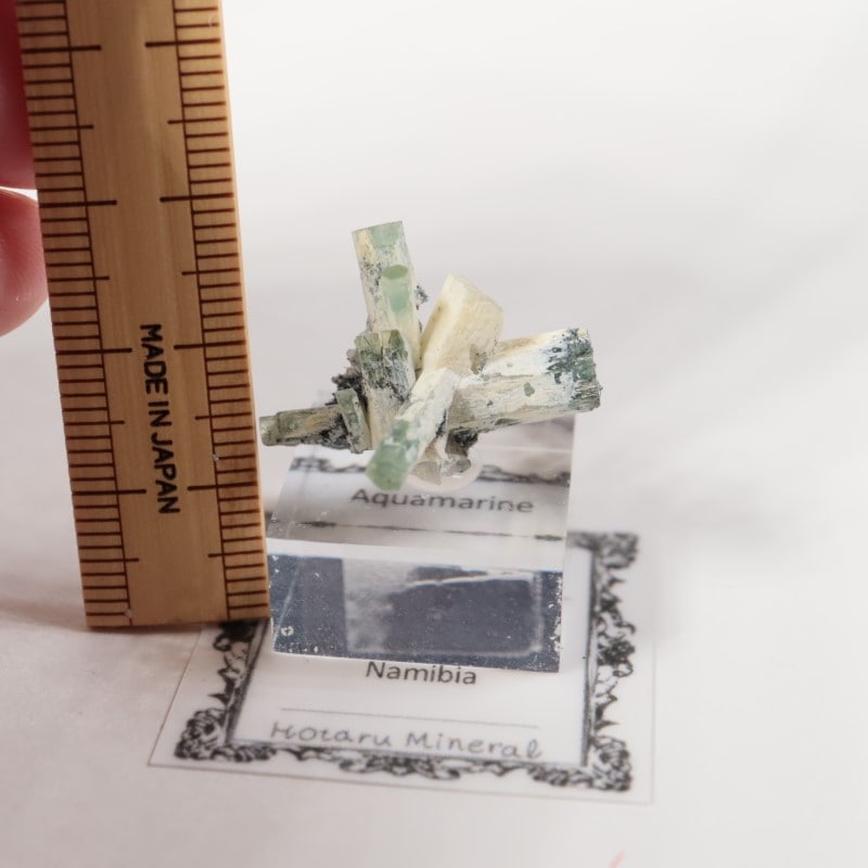 �����󥴹ۻ����٥��