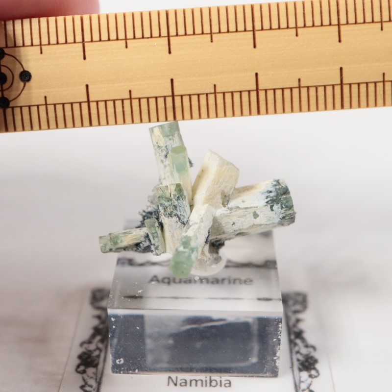 �����󥴹ۻ����٥��