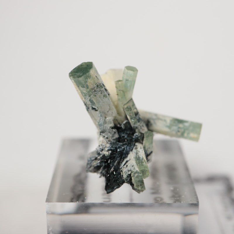 �����󥴹ۻ����٥��