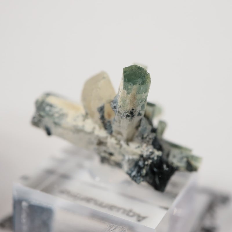 �����󥴹ۻ����٥��