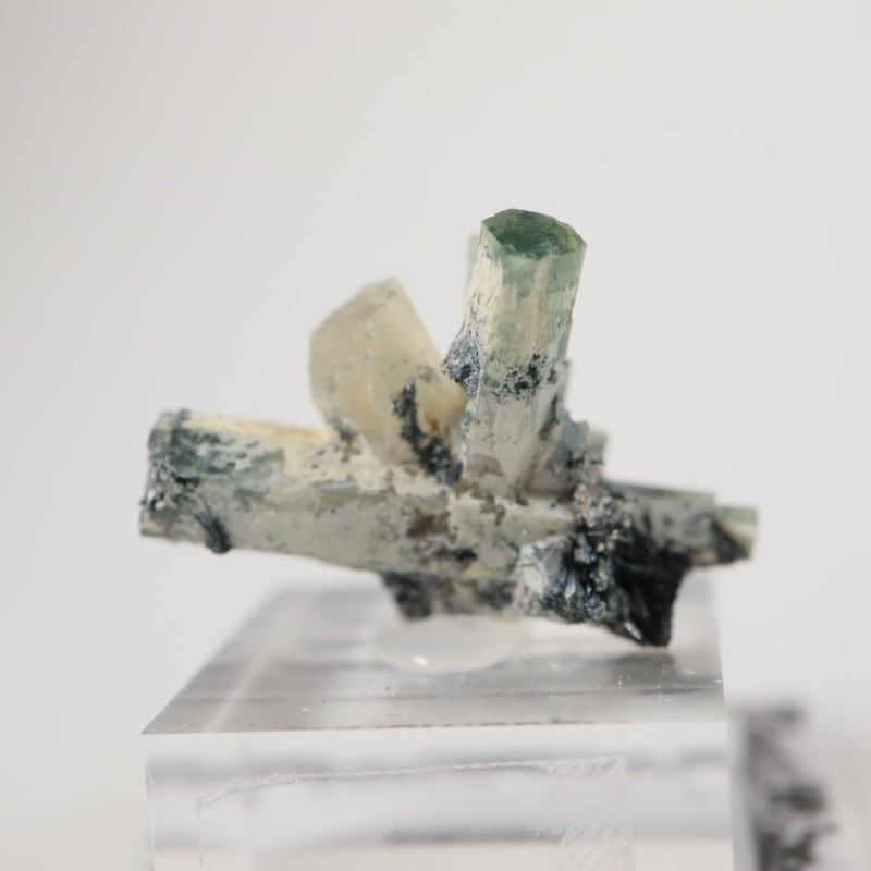 �����󥴹ۻ����٥��