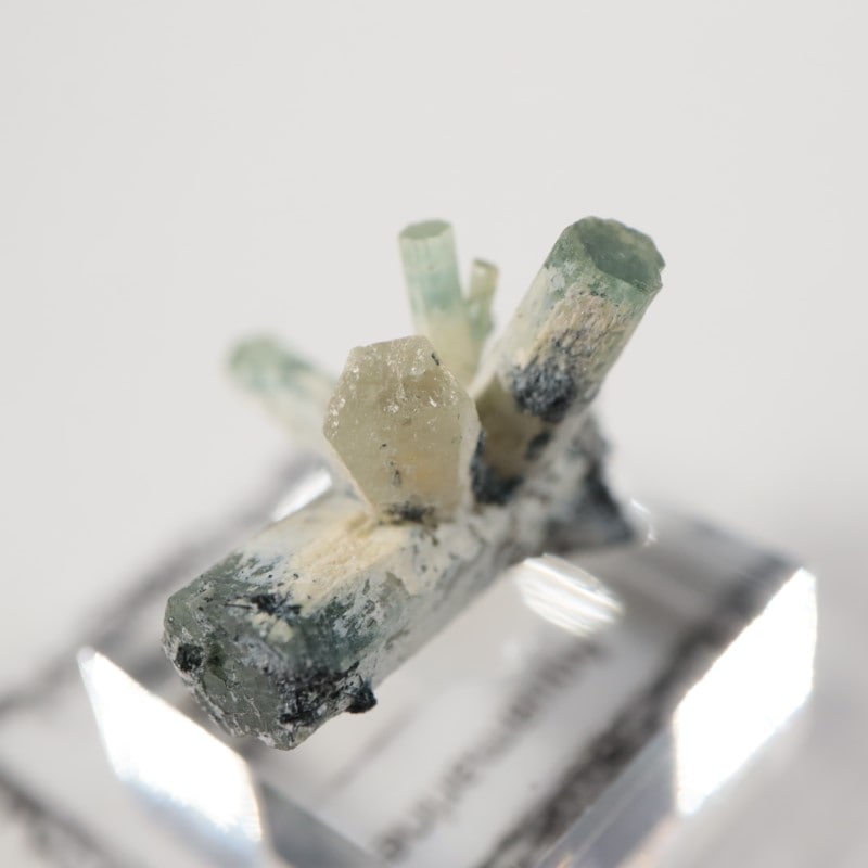 �����󥴹ۻ����٥��