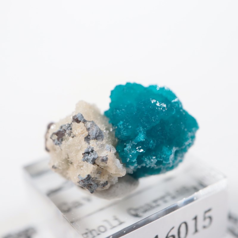 ����ɻ� ���Х󥵥���