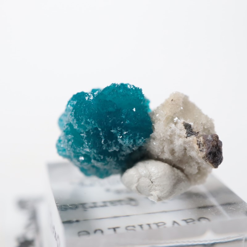 ����ɻ� ���Х󥵥���