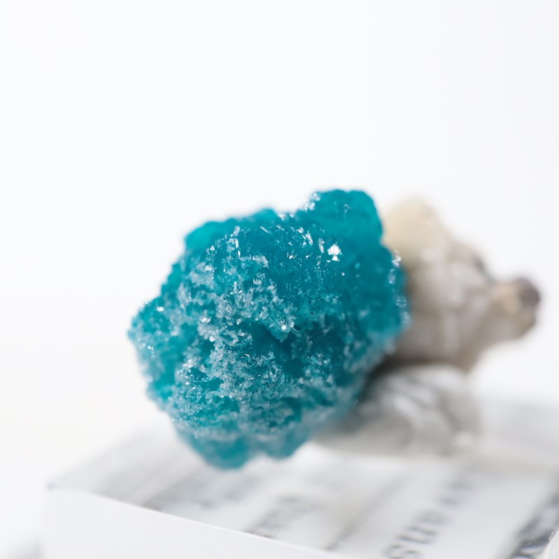 ����ɻ� ���Х󥵥���