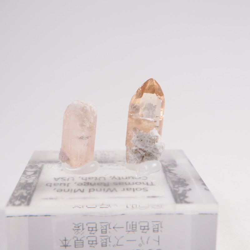 �楿���� �ȥѡ���