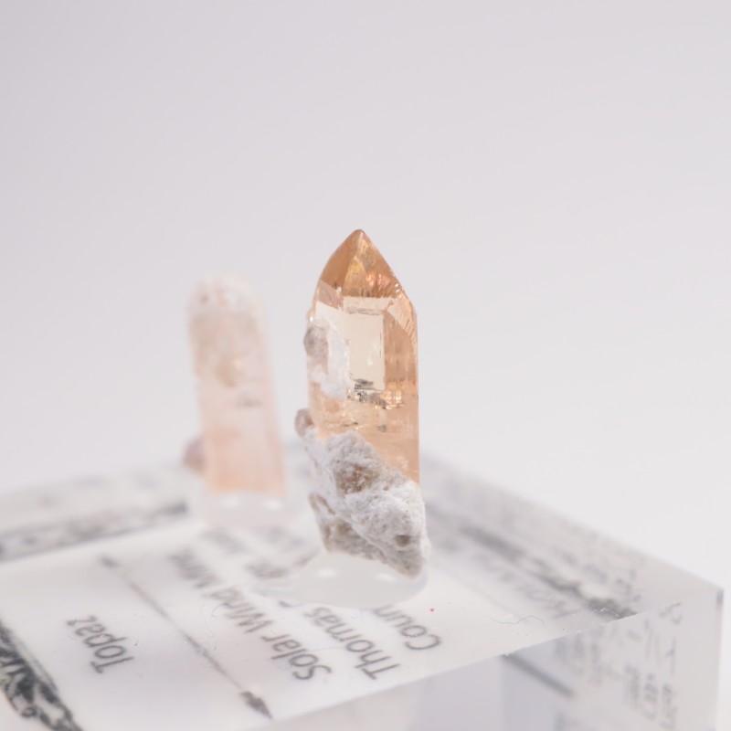 �楿���� �ȥѡ���