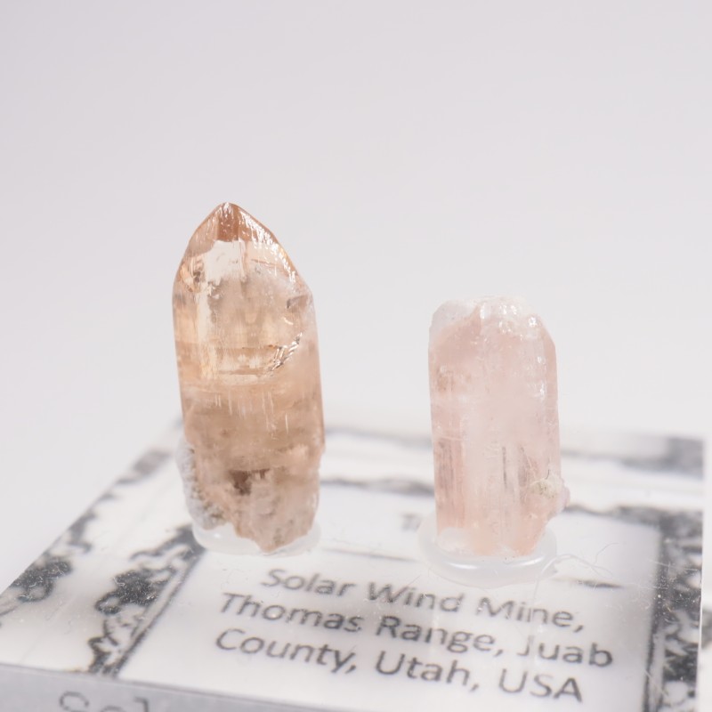 �楿���� �ȥѡ���