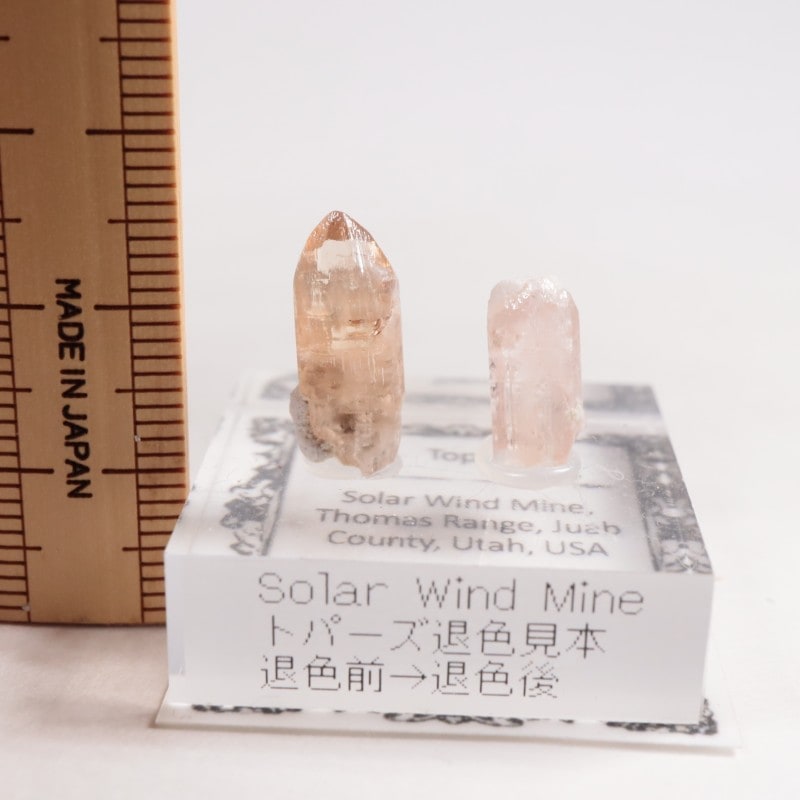 �楿���� �ȥѡ���