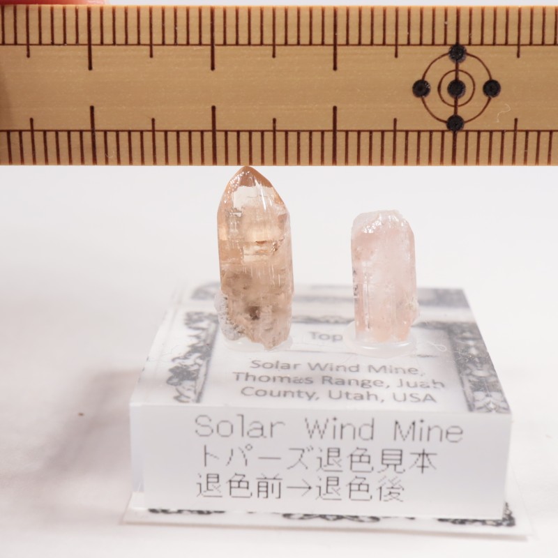 �楿���� �ȥѡ���