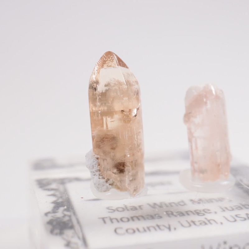 �楿���� �ȥѡ���