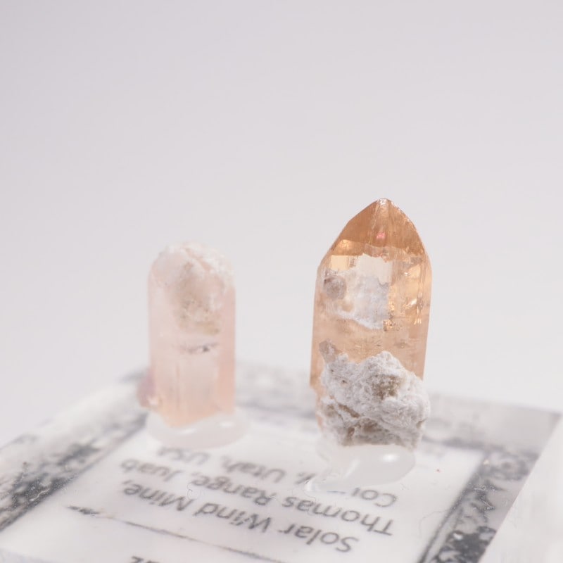 �楿���� �ȥѡ���