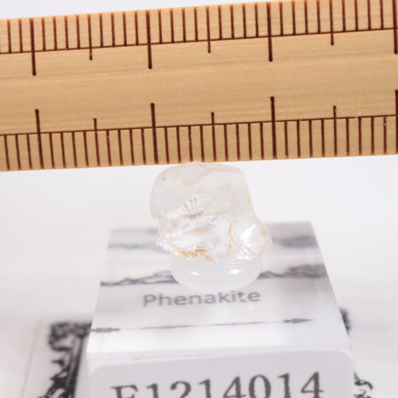 �ե��ʥ�����