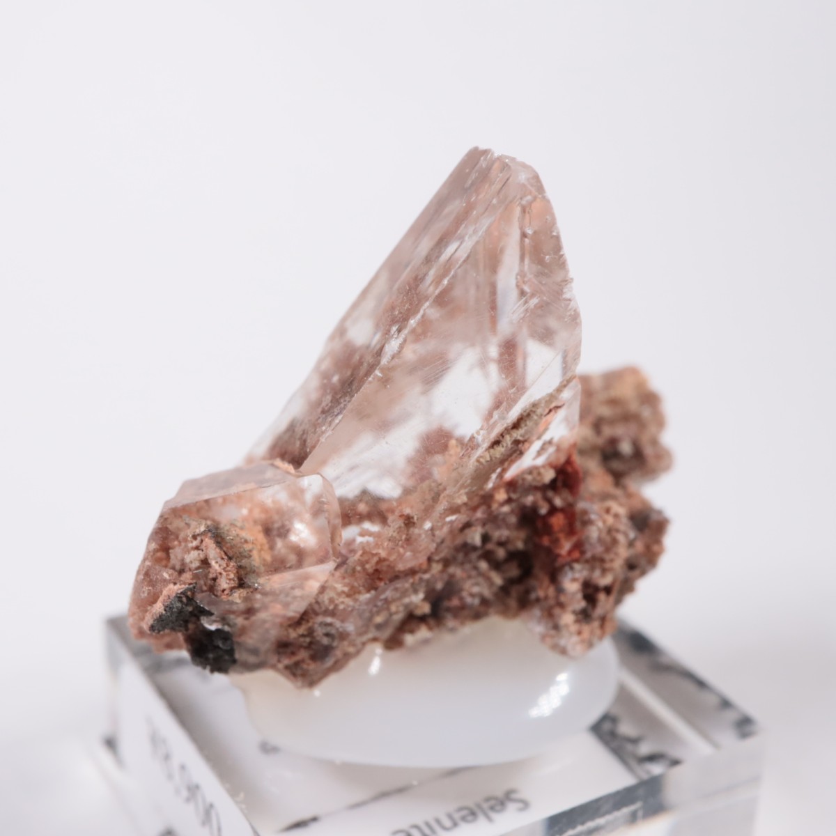 �ᥭ������ ����ʥ���