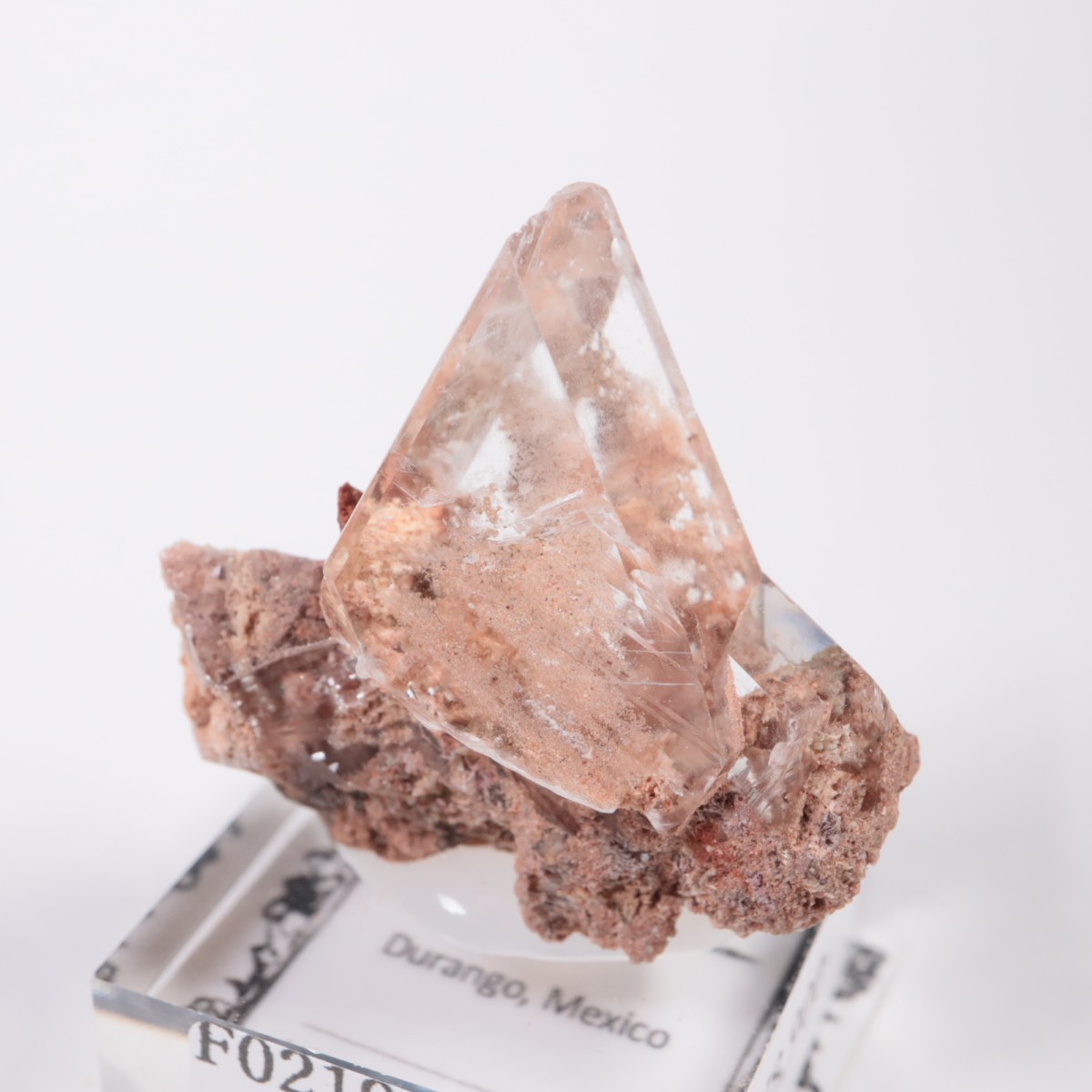 �ᥭ������ ����ʥ���