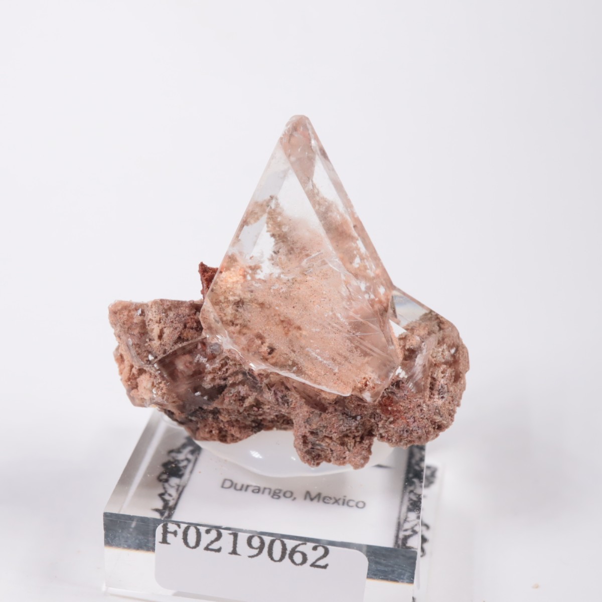 �ᥭ������ ����ʥ���