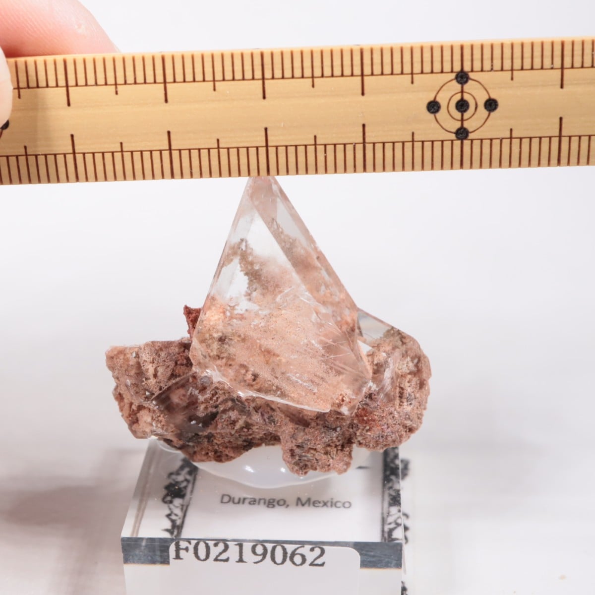 �ᥭ������ ����ʥ���