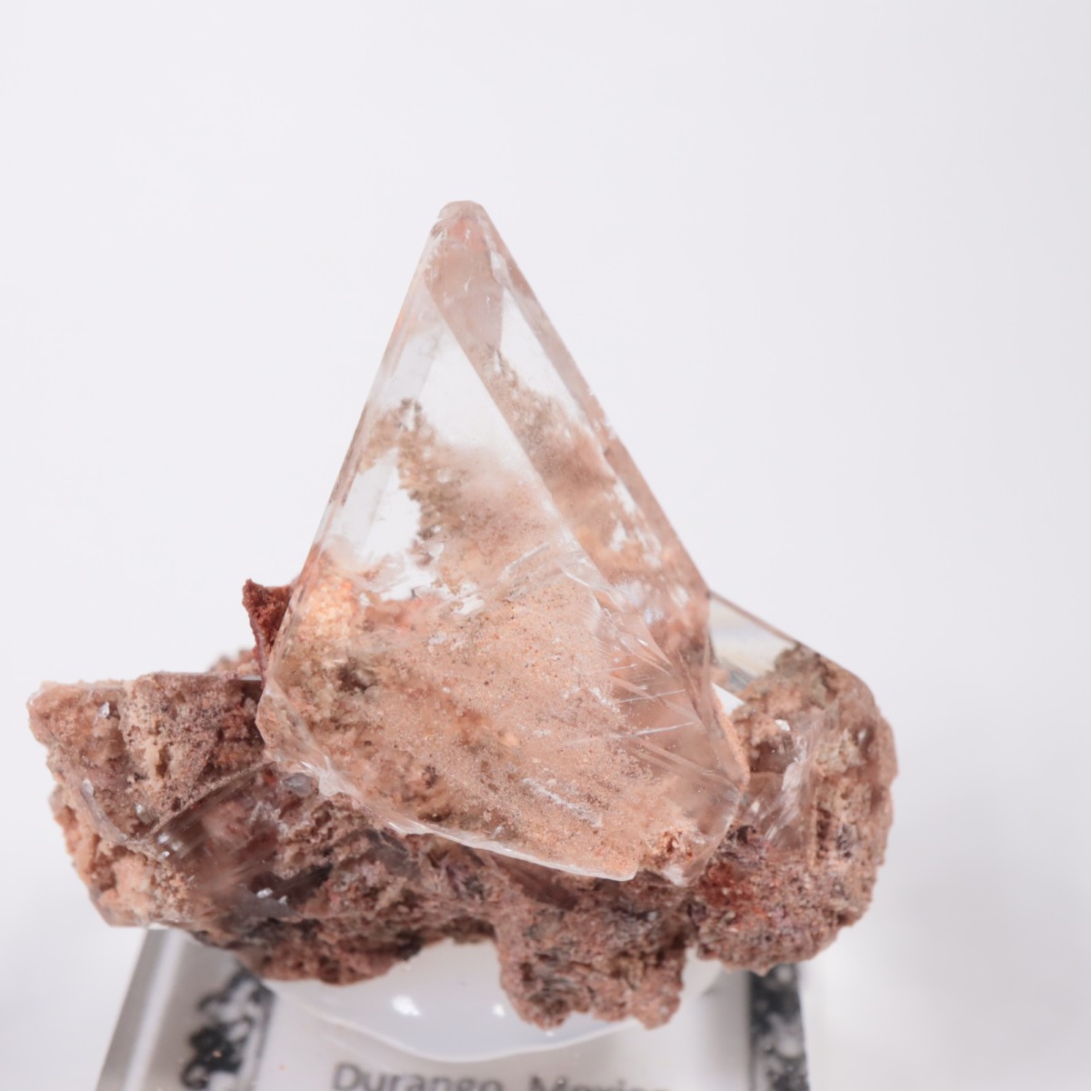 �ᥭ������ ����ʥ���