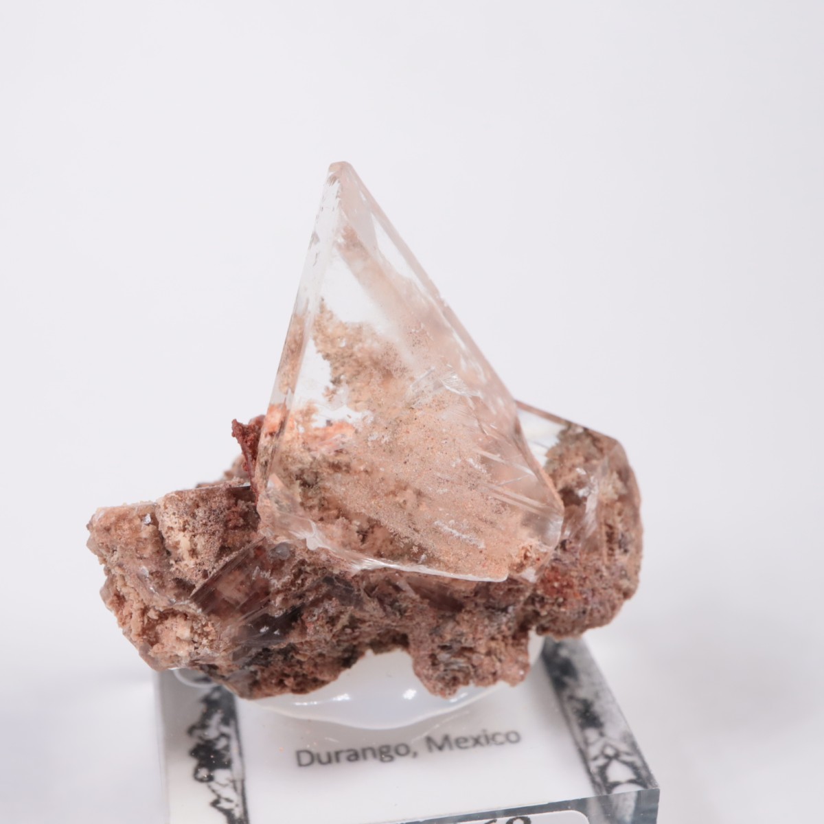 �ᥭ������ ����ʥ���