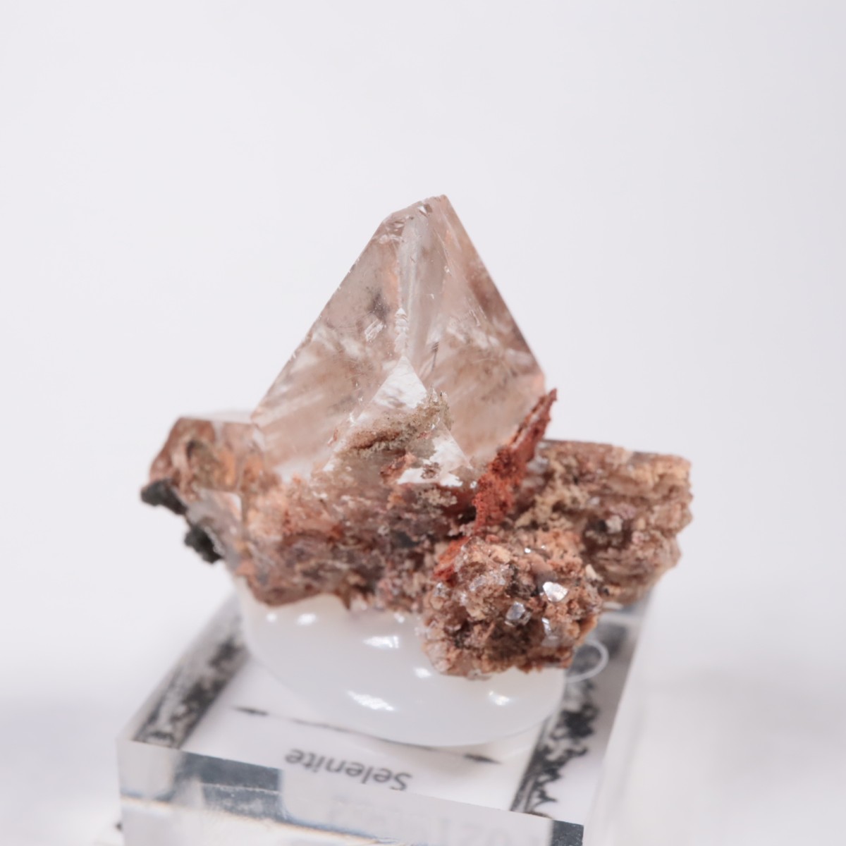 �ᥭ������ ����ʥ���