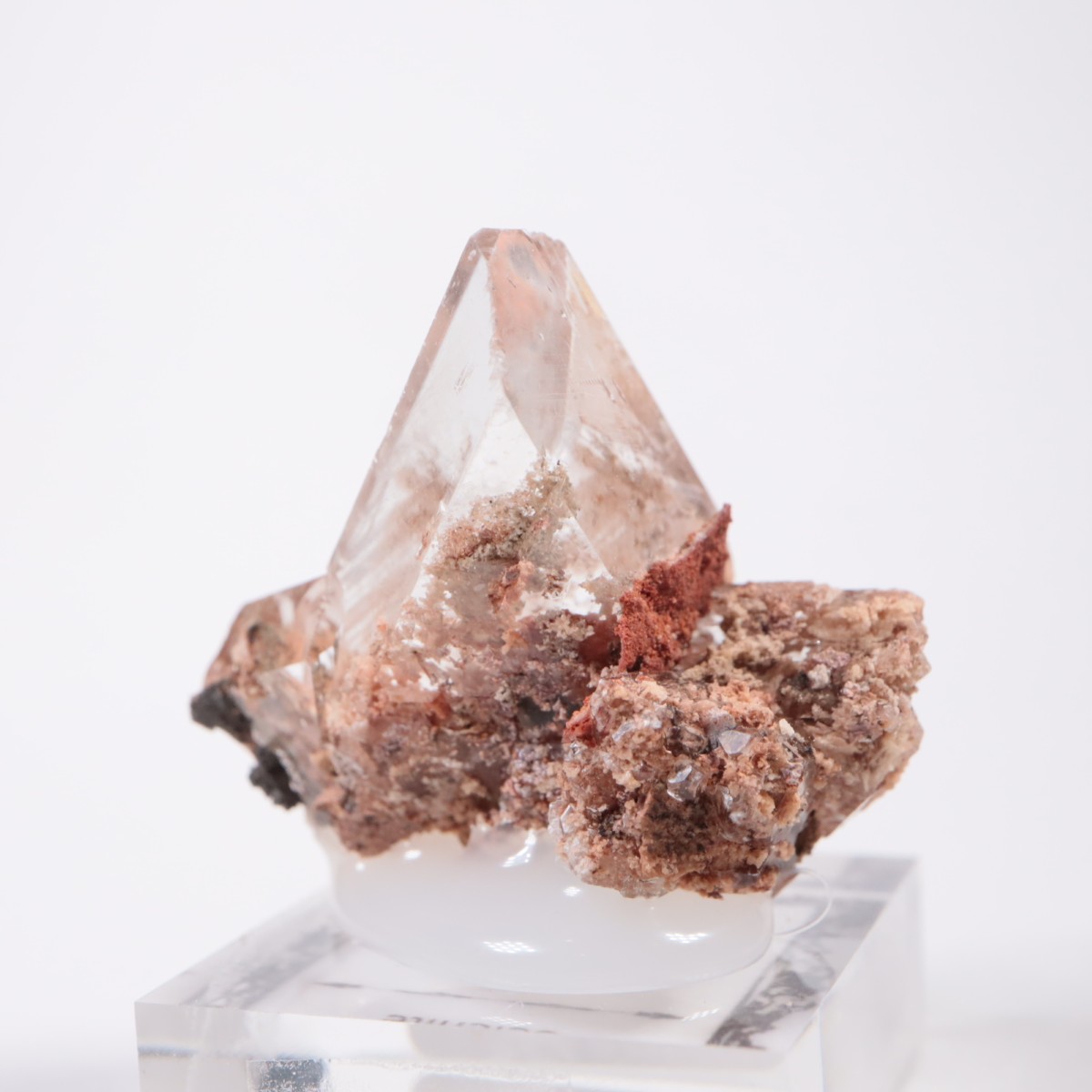 �ᥭ������ ����ʥ���