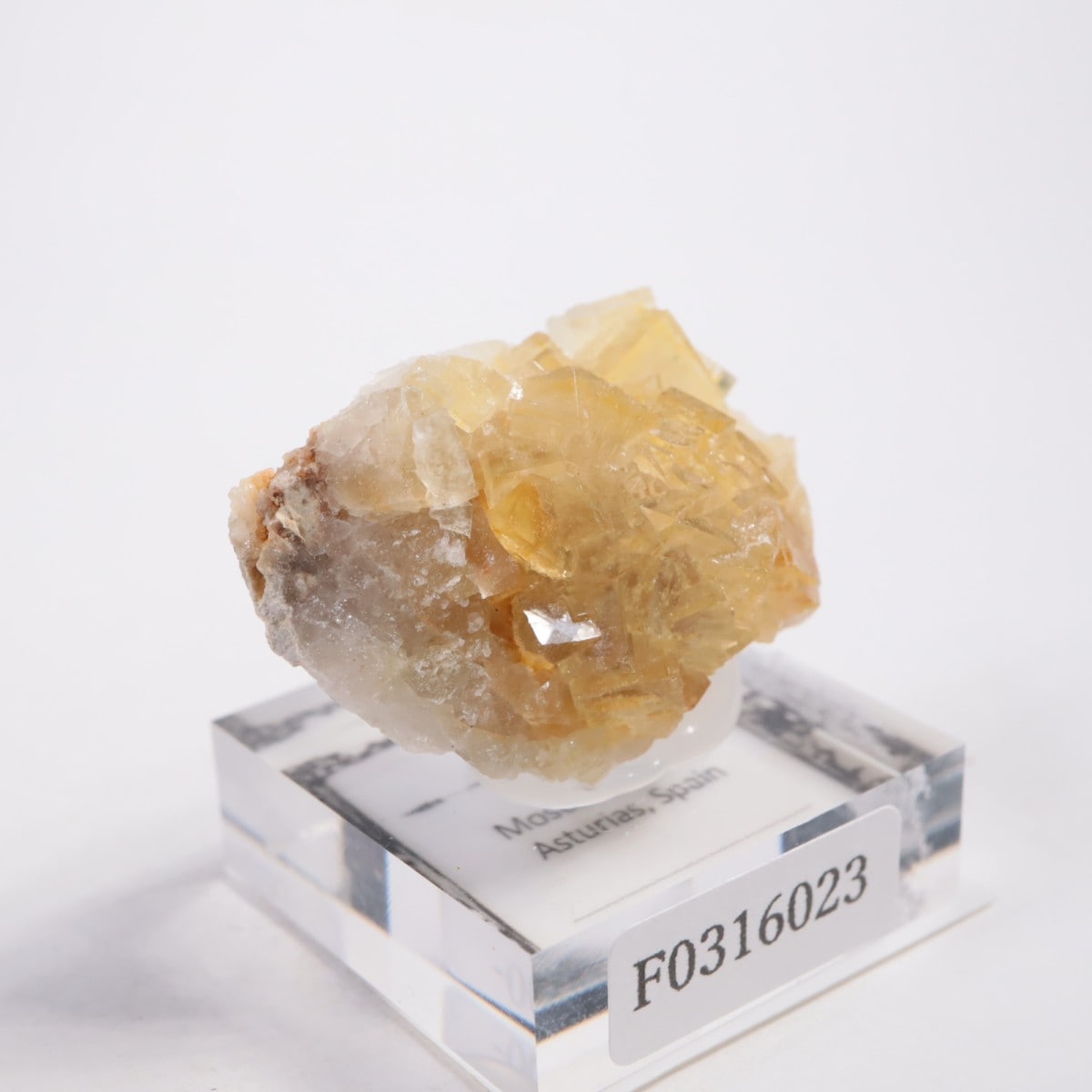 Moscona�ۻ��� �ե����饤��