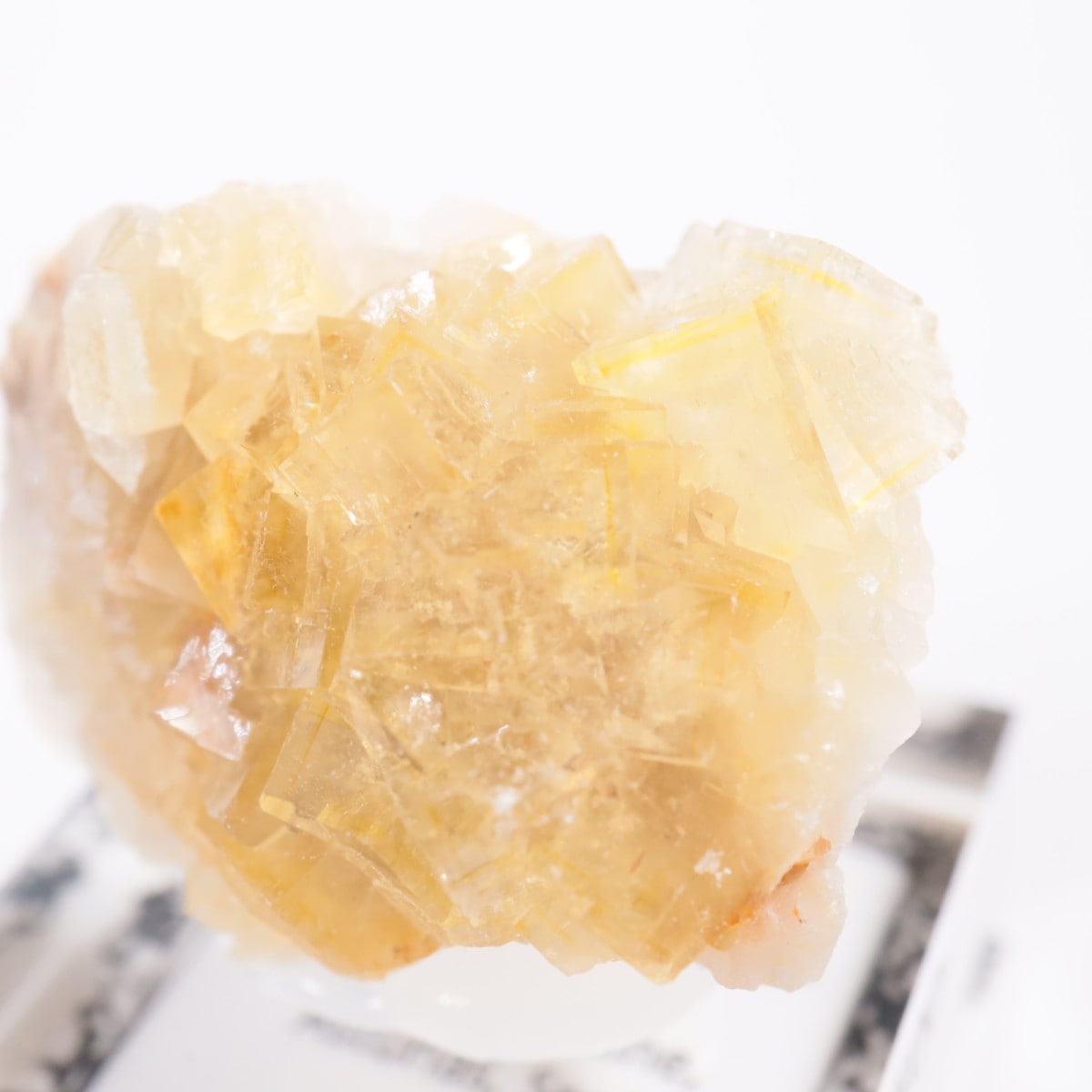 Moscona�ۻ��� �ե����饤��