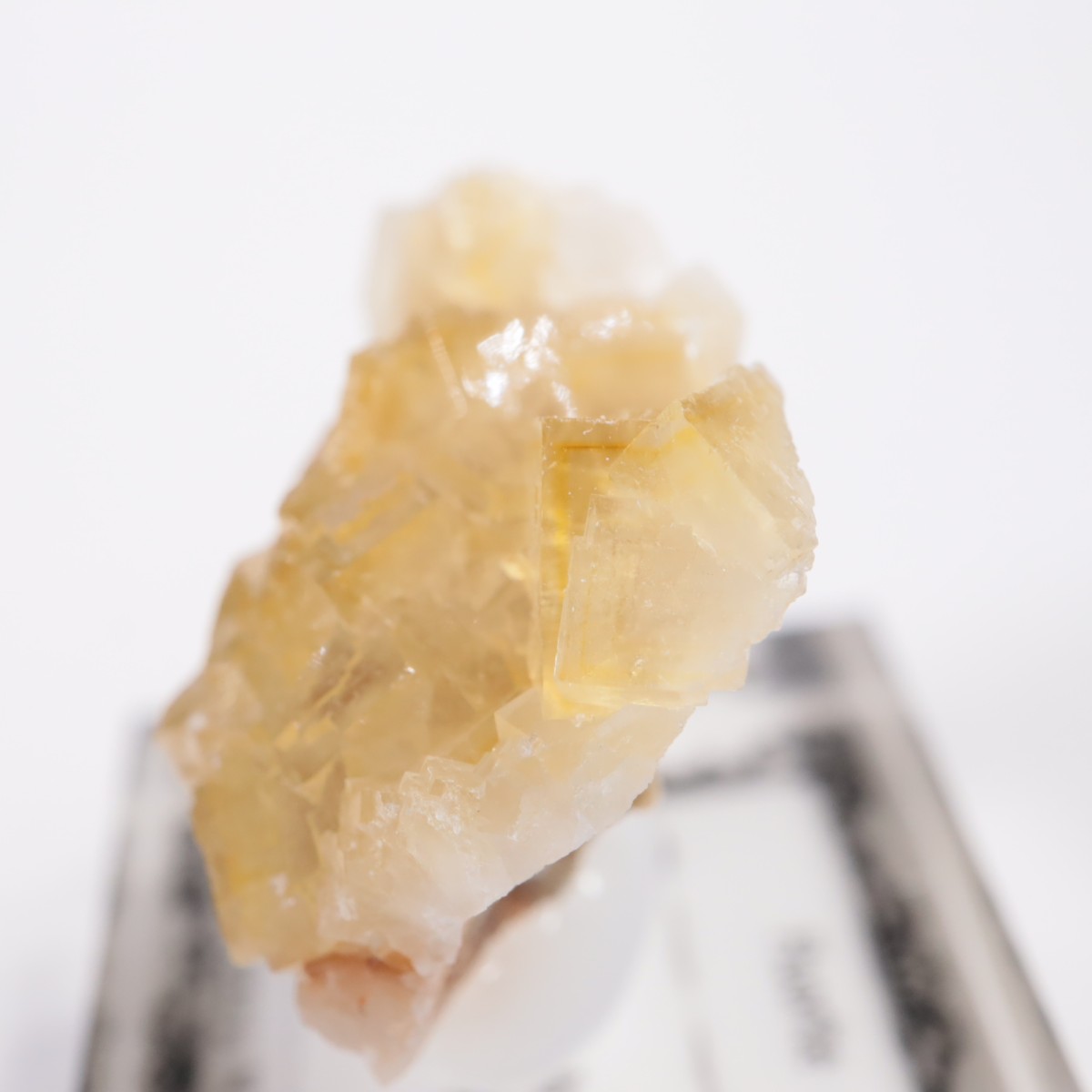 Moscona�ۻ��� �ե����饤��