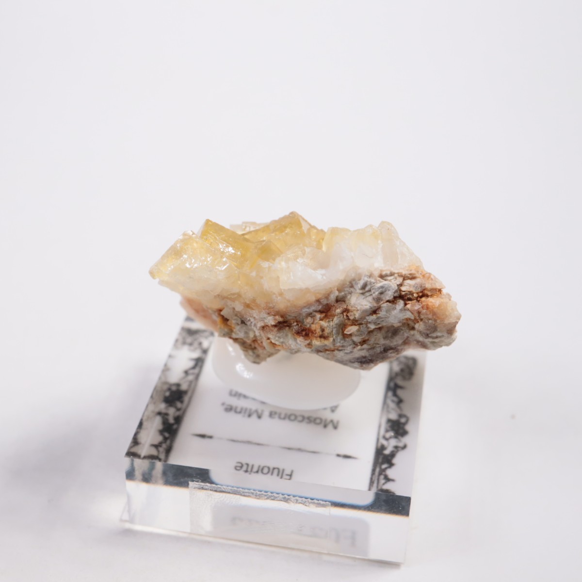 Moscona�ۻ��� �ե����饤��