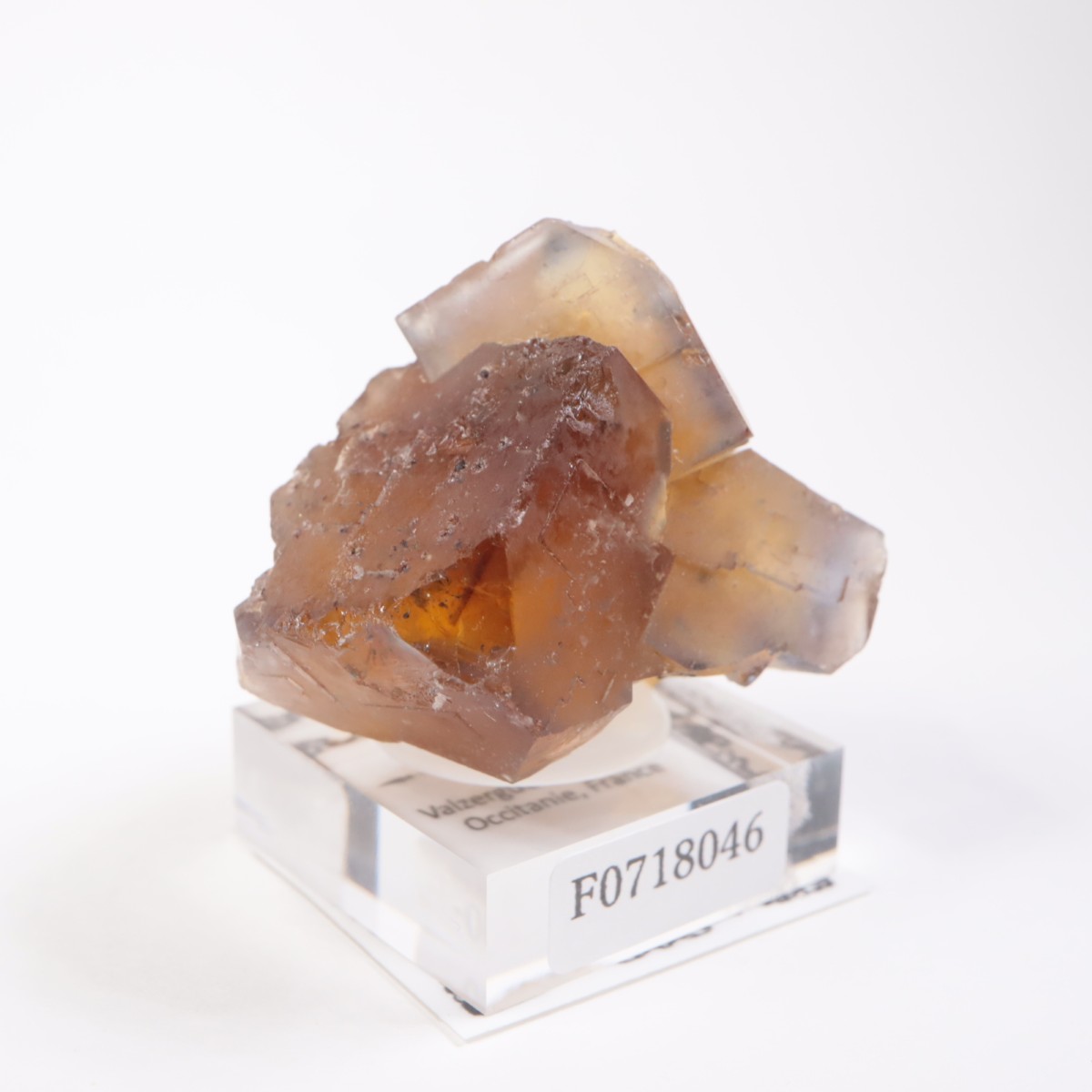 Valzergues�����ե����饤��