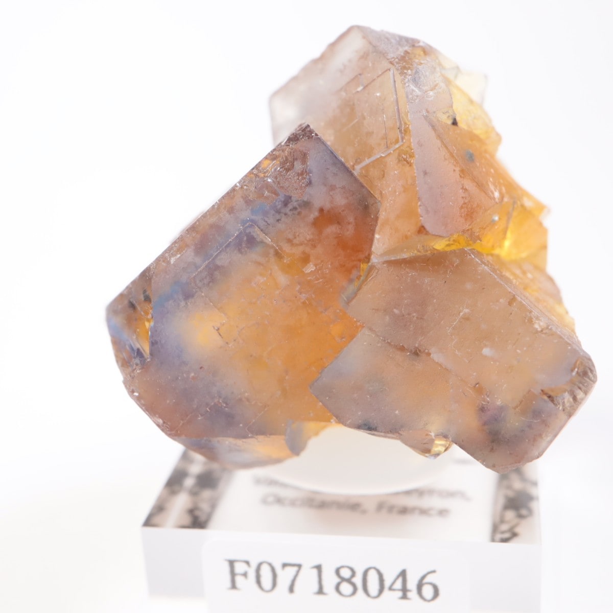 Valzergues�����ե����饤��