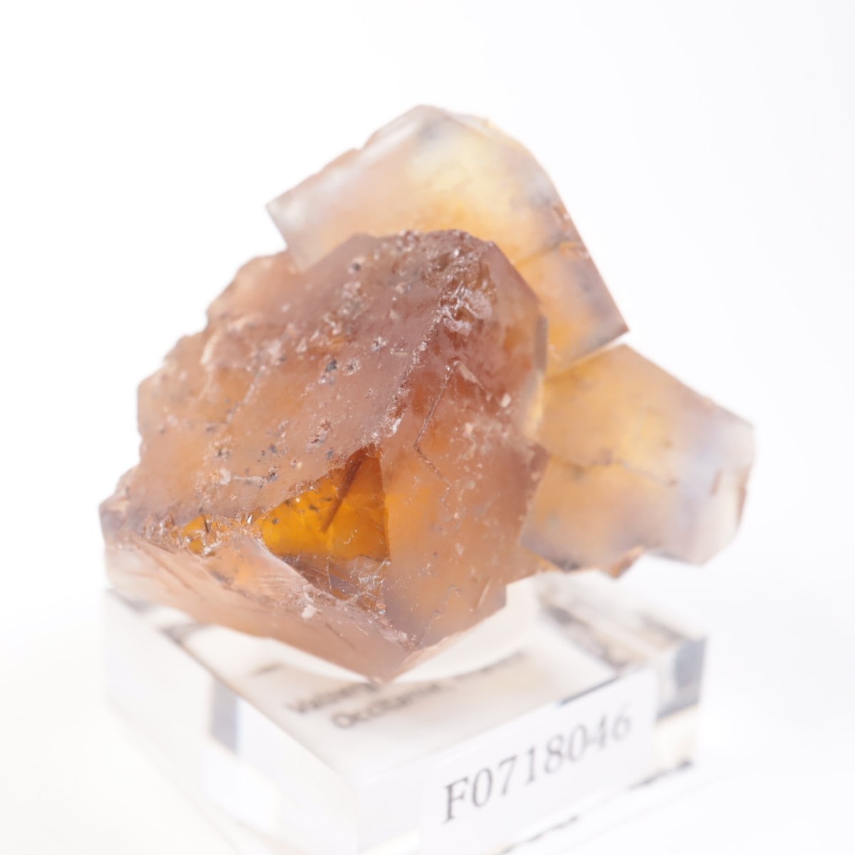 Valzergues�����ե����饤��