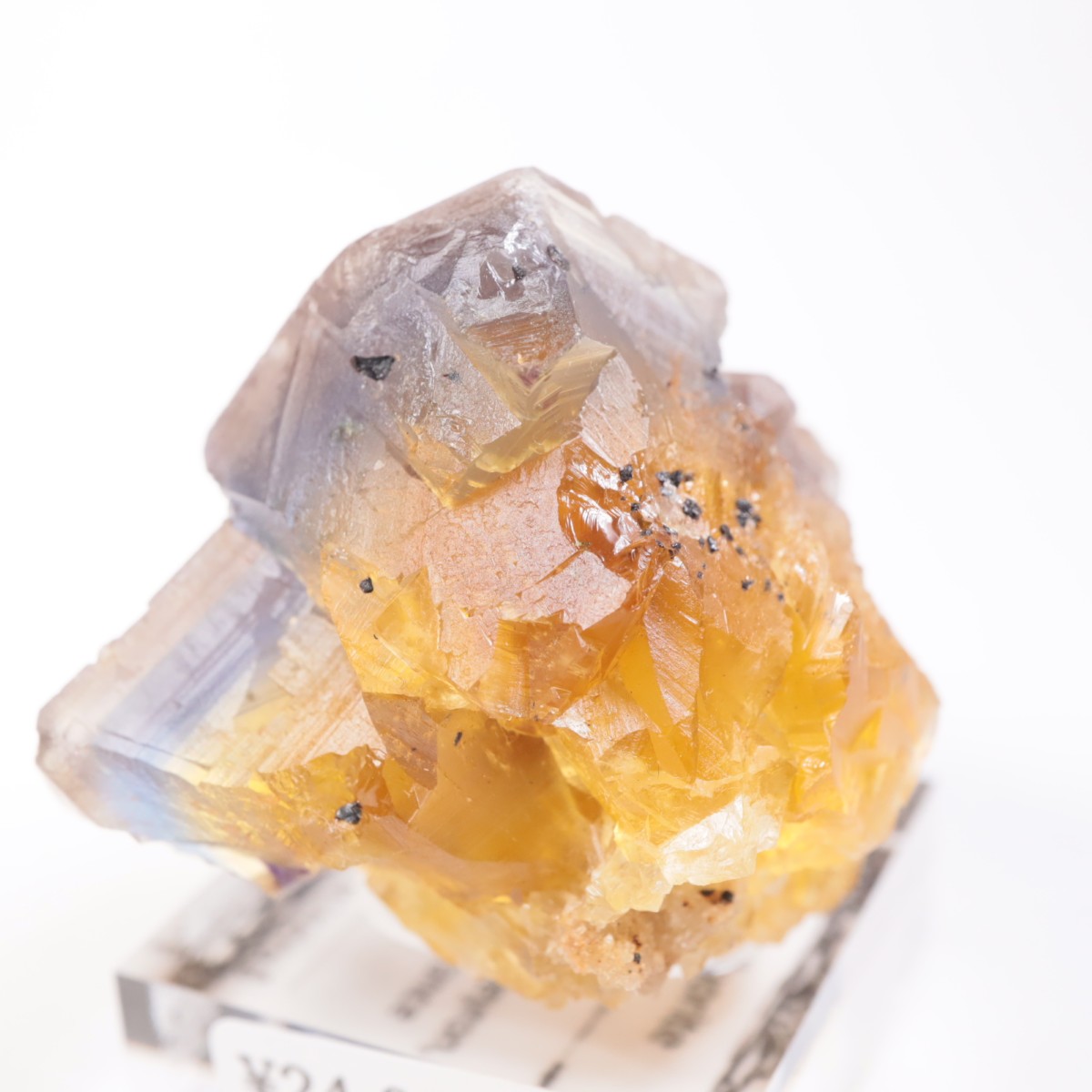 Valzergues�����ե����饤��