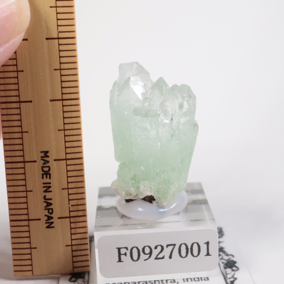 ����ɻ� ���ݥե��饤��