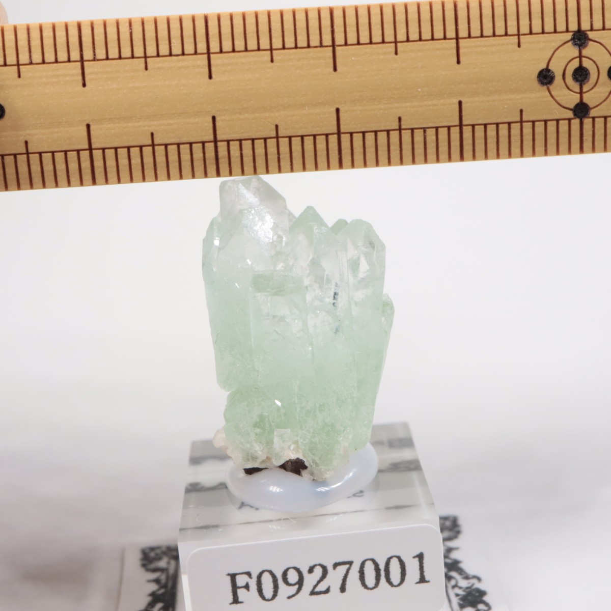 ����ɻ� ���ݥե��饤��