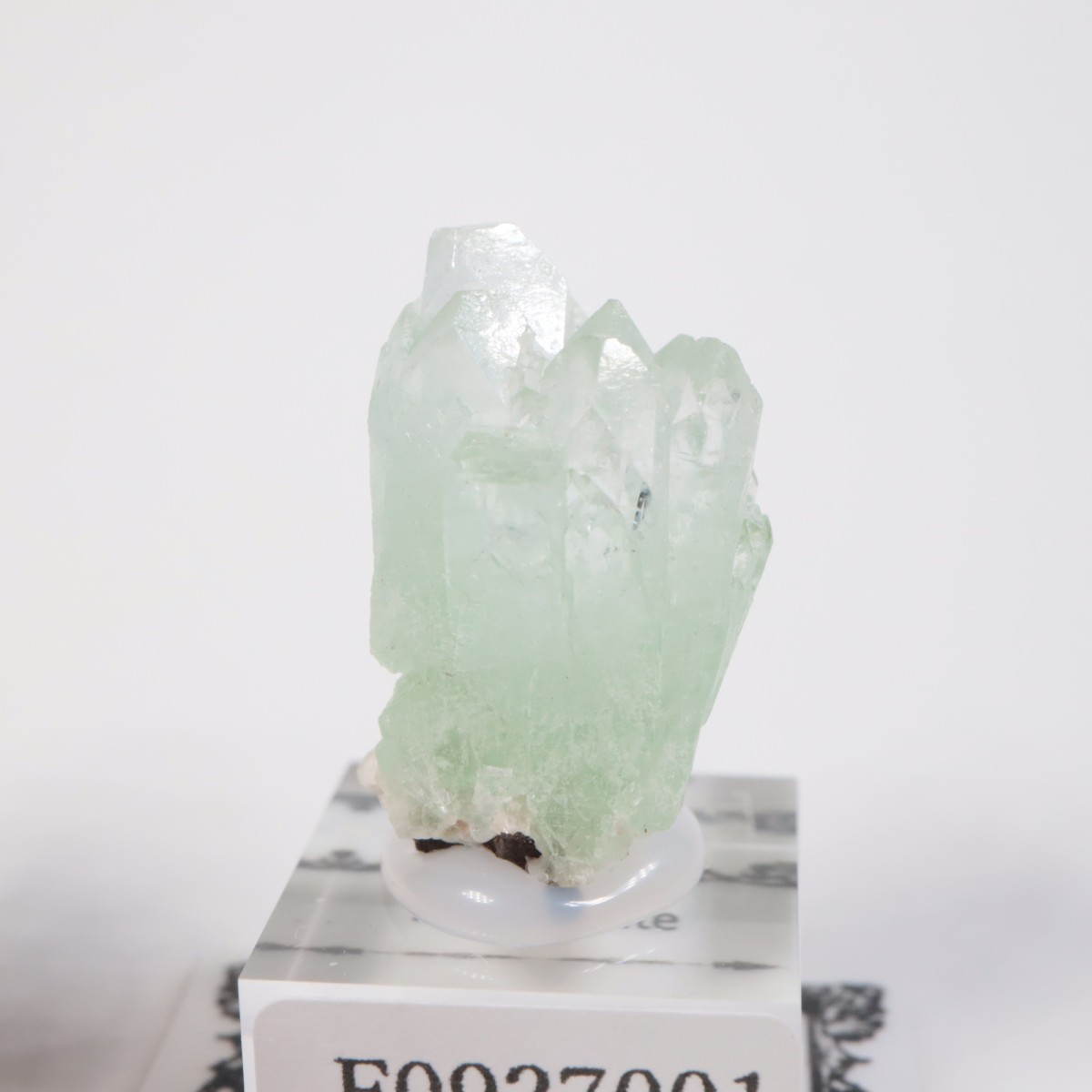 ����ɻ� ���ݥե��饤��