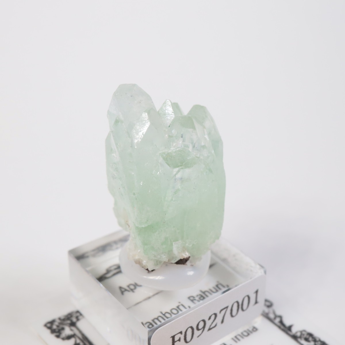 ����ɻ� ���ݥե��饤��