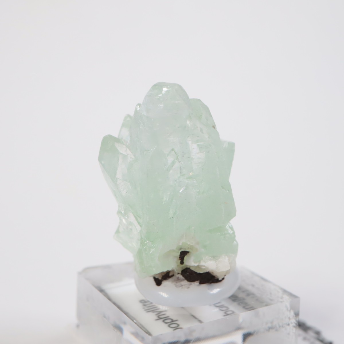 ����ɻ� ���ݥե��饤��