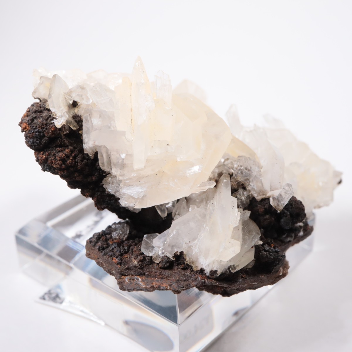 Ojuela�ۻ� ���륵����