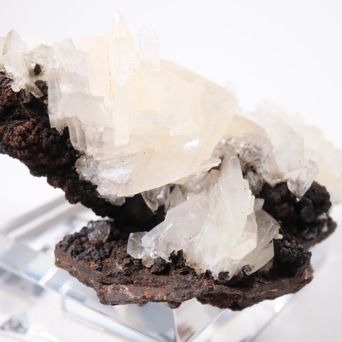 Ojuela�ۻ� ���륵����