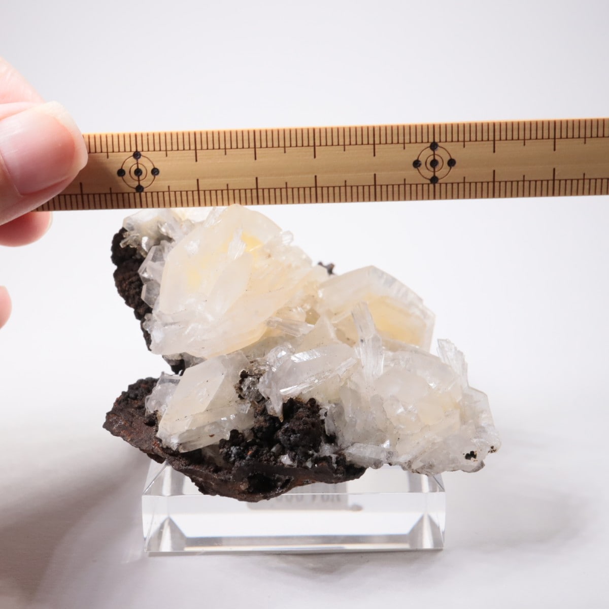 Ojuela�ۻ� ���륵����