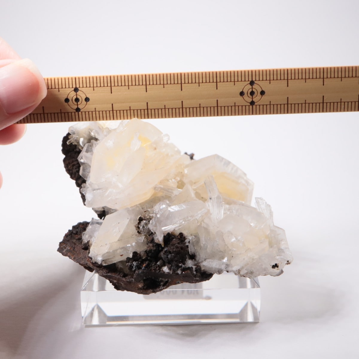 Ojuela�ۻ� ���륵����