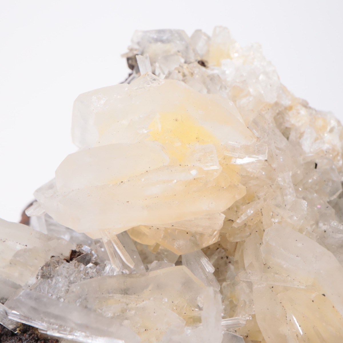 Ojuela�ۻ� ���륵����