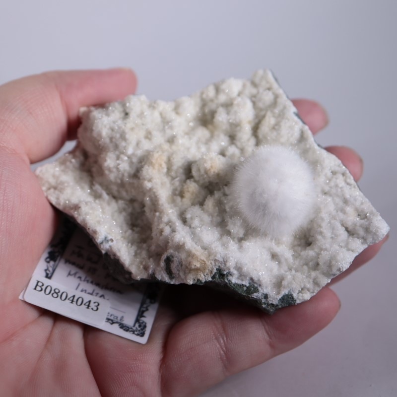 9_000000001128.jpg?1678209904