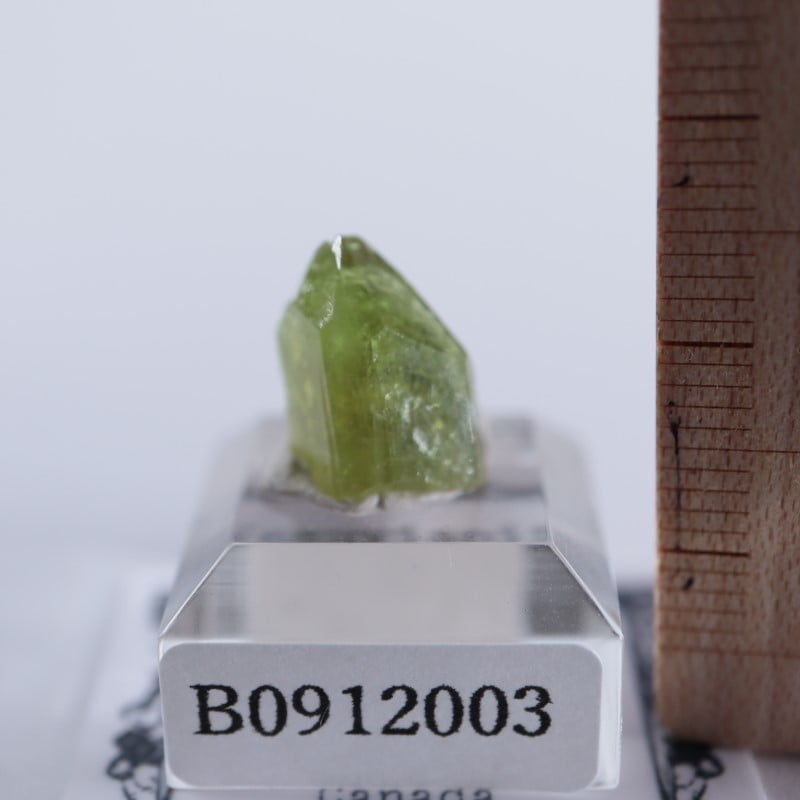 ���ʥ������٥��ӥ��ʥ��ȡʥ٥����С�