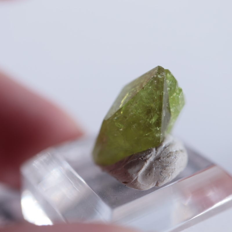 ���ʥ������٥��ӥ��ʥ��ȡʥ٥����С�