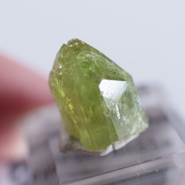 ���ʥ������٥��ӥ��ʥ��ȡʥ٥����С�