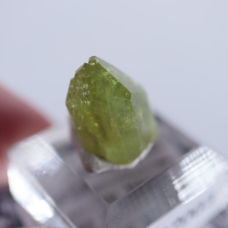 ���ʥ������٥��ӥ��ʥ��ȡʥ٥����С�